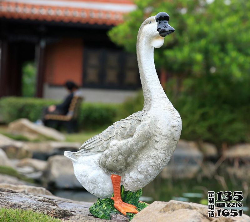 鄉村路上行走的玻璃鋼仿真天鵝雕塑 鄉村路上行走的玻璃鋼仿真天鵝雕塑