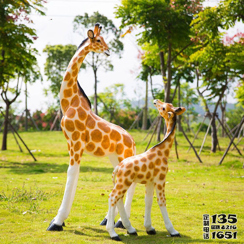 草坪玻璃鋼彩繪回頭望的長頸鹿雕塑 草坪玻璃鋼彩繪回頭望的長頸鹿雕塑